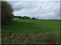 Farmland, Hollin Hill