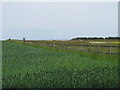 Fence on field boundary near Apple Mount Farm, Thorpe Morieux