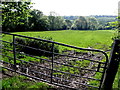 Magharenny Townland