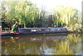 Narrowboat under weeping willows