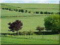 Farmland south of The Clays