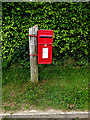 Sycamore View Postbox