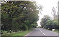 Garden Centre entrance from A6071