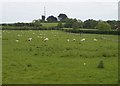 Hog Hill Windmill