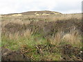 NR4665 : Rough rushy moorland on Doire Dubh MhÃ³r by M J Richardson