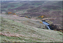NG3935 : Grassy slopes descending to Allt Meadale by Trevor Littlewood