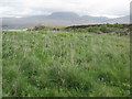NR4269 : Grassland near Caol Ila by M J Richardson
