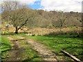 National Trust path at Forder