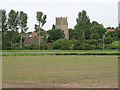 Looking to Cretingham Church Tower over arable land