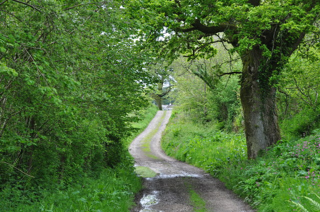 West Somerset : Track