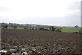 Muddy ploughed field