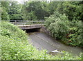 Bridge over the Pigeonhouse