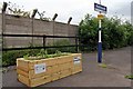 Incredible Edible Salford, Patricroft railway station