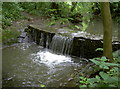 Crox Bottom weir