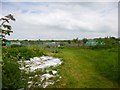 Wick, allotments