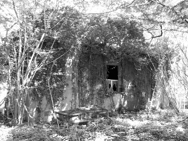 Dilapidated building at RAF Hethel