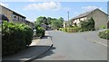 Bentley Mount - looking towards Willow Hall Lane