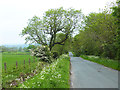 Sturdy House Lane