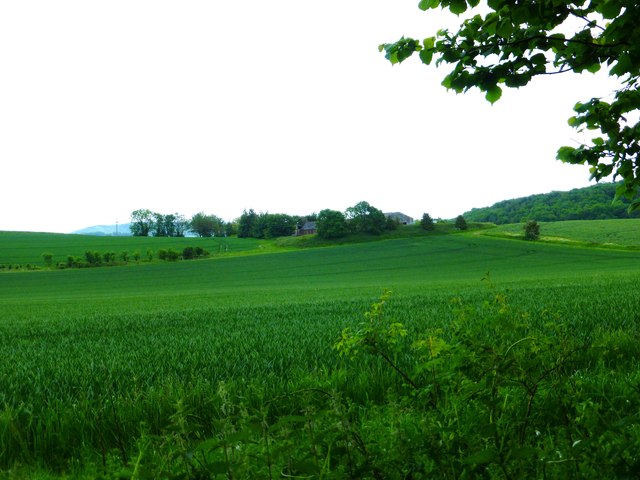 View from the byway known as Halnaker Lane
