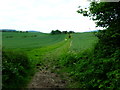 Footpath east towards farm buildings