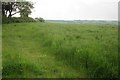 Field by Brook Farm