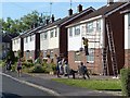 DIY with an audience, Frances Avenue, Warwick