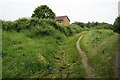 Path leading to Richmond Hill