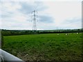 Pylon in field of cattle