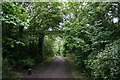 Footbridge over the Trans Pennine Trail