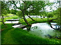 Ponds near Harvesting Lane