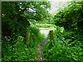 Byway reaches Oxenbourne Lane