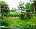 Barn in field