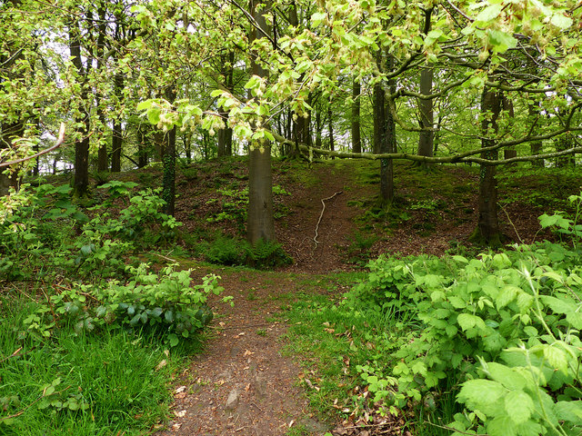 The bank and ditch of the hill fort