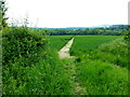 Footpath crosses field diagonally