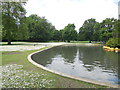 TQ2782 : Daisies by boating lake - Regent's Park by Paul Gillett