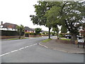 High View at the junction of Sandy Lane, Belmont