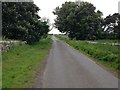 Minor road near Mersington