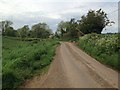 Minor road near Hassington