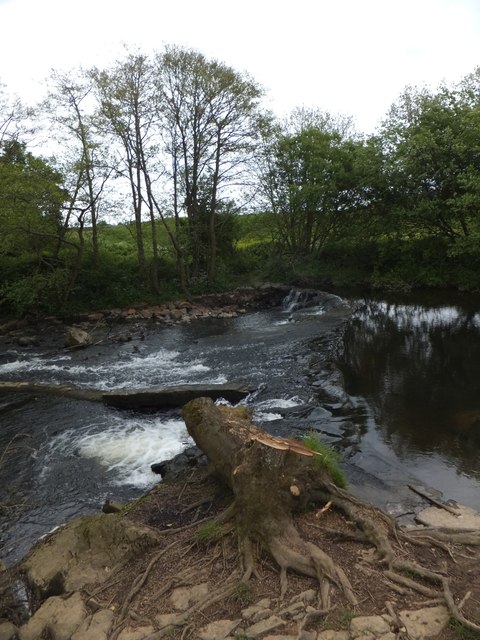 Weir on River Taw