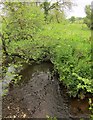 West Lew River