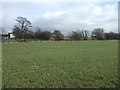 Farmland, Barton