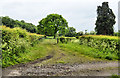 Level Crossing, Woofferton to Tenbury Wells branch.