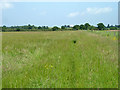 Footpath to Hackmans Lane