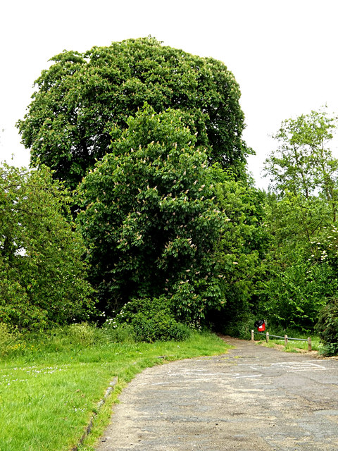 Footpath to Melford Hall