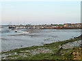 Evening low tide at Maylandsea