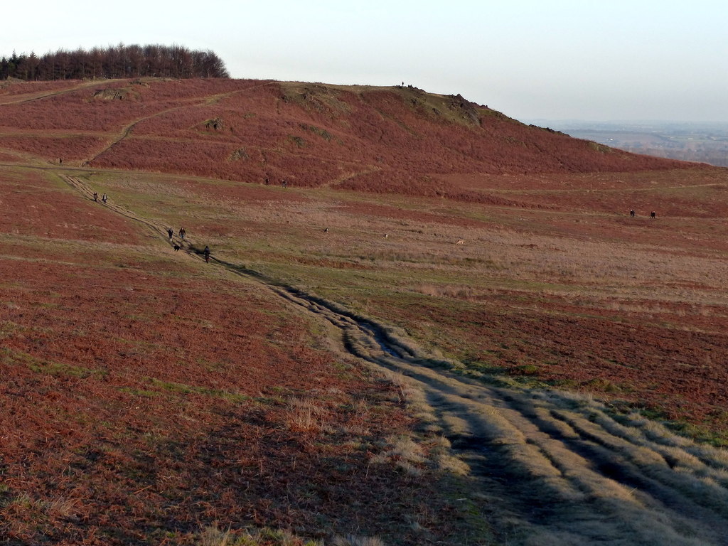 well-worn-path-across-bradgate-country-mat-fascione-cc-by-sa-2-0