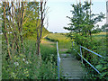 Footpath to Mundon Hall