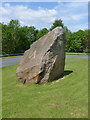 NY5228 : Eden Millennium Stone by Oliver Dixon