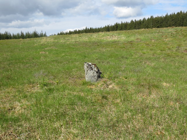 Standing stone in a clearance in Naver Forest