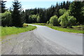 Road to Carsphairn at Muirdrochwood